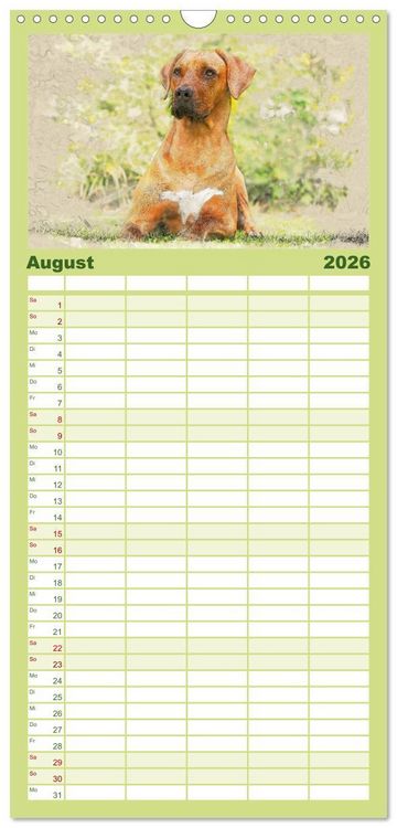 Produktbild: Familienplaner 2026 - Rhodesian Ridgeback 2026 mit 5 Spalten (Wandkalender, 21 x 45 cm) CALVENDO