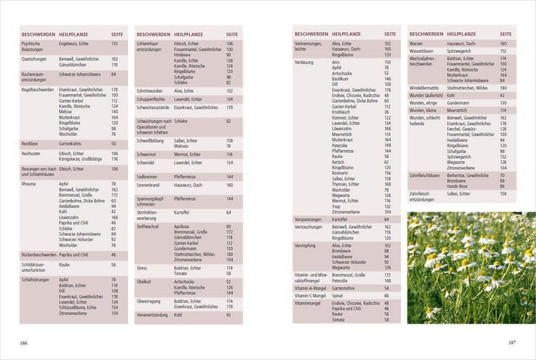 Produktbild: Meine Gartenapotheke. Heilen und gesund leben mit Gem&uuml;se, Obst, Heilkr&auml;utern und Heilpflanzen aus dem Garten