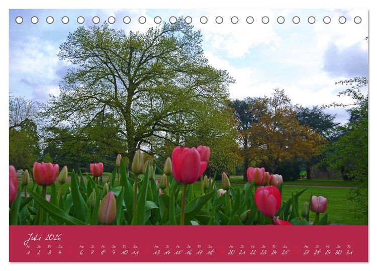 Produktbild: D&uuml;sseldorfer Nordpark (Tischkalender 2026 DIN A5 quer), CALVENDO Monatskalender