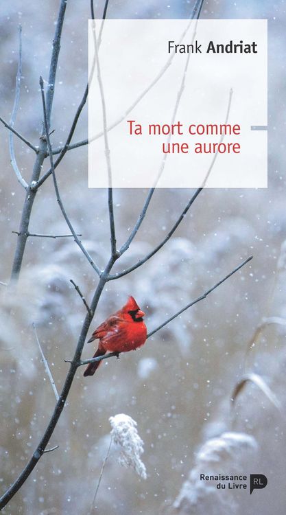 Produktbild: Ta mort comme une aurore