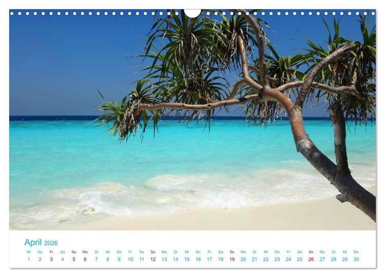 Produktbild: Unter Palmen 2026. Impressionen von den sch&ouml;nsten Str&auml;nden der Welt (Wandkalender 2026 DIN A3 quer), CALVENDO Monatskalender