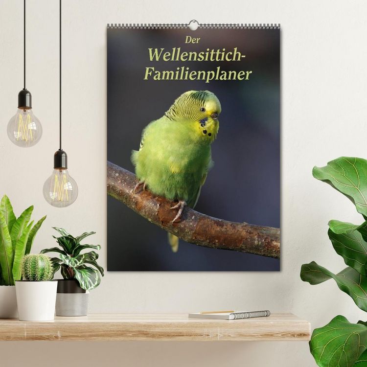 Produktbild: Der Wellensittich-Familienplaner (Wandkalender 2027 DIN A2 hoch), CALVENDO Monatskalender
