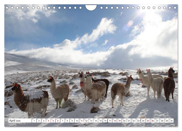 Produktbild: S&Uuml;DAMERIKA Eine Bilderreise durch Argentinien, Bolivien, Peru und Chile 2026 (Wandkalender 2026 DIN A4 quer), CALVENDO Monatskalender