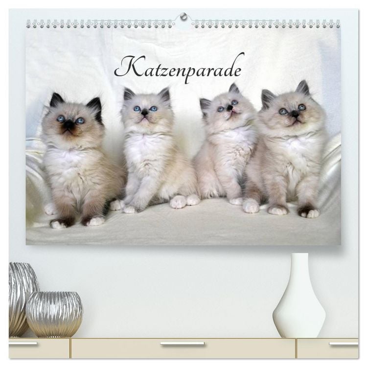 Produktbild: Katzenparade (hochwertiger Premium Wandkalender 2026 DIN A2 quer), Kunstdruck in Hochglanz