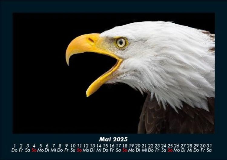 Produktbild: Adler 2025 Fotokalender DIN A5