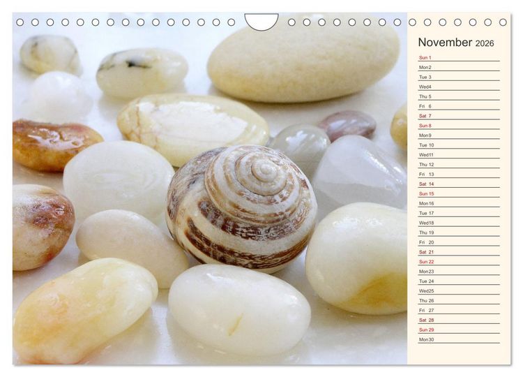 Produktbild: Shells, Stones and Sand (Wall Calendar 2026 DIN A4 landscape), CALVENDO 12 Month Wall Calendar