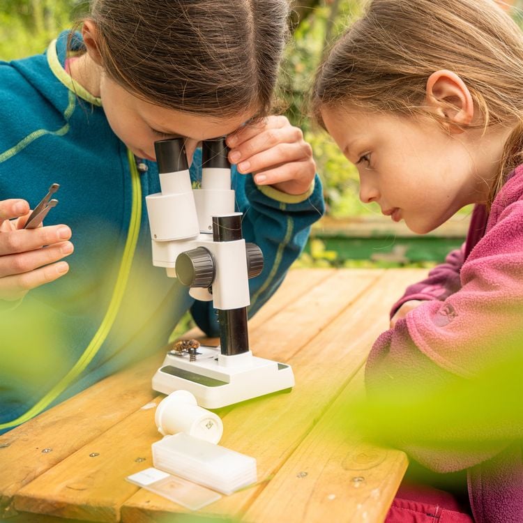 Produktbild: Bresser Junior 10312 - Kinder-Mikroskop Biolux ICD Pro 20x/50x, Auflicht- und Durchlichtmikroskop mit 20- und 50-facher Vergr&ouml;&szlig;erung