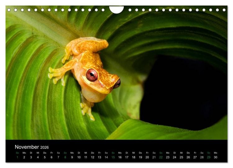 Produktbild: Costa Rica - Faszination Fr&ouml;sche (Wandkalender 2026 DIN A4 quer), CALVENDO Monatskalender