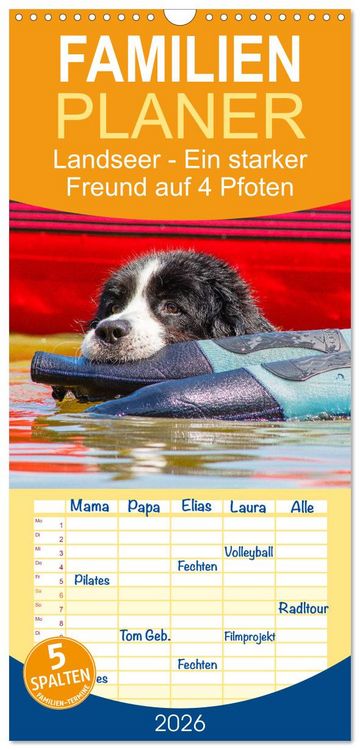 Produktbild: Familienplaner 2026 - Landseer - Ein starker Freund auf 4 Pfoten mit 5 Spalten (Wandkalender, 21 x 45 cm) CALVENDO