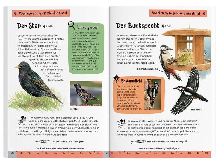 Produktbild: Was fliegt denn da? Kindernaturf&uuml;hrer