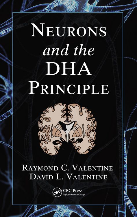 Produktbild: Neurons and the DHA Principle