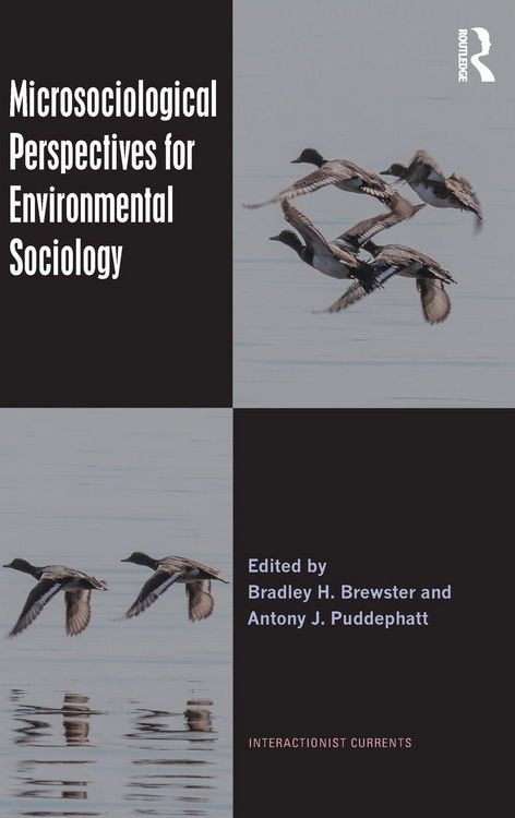 Produktbild: Microsociological Perspectives for Environmental Sociology