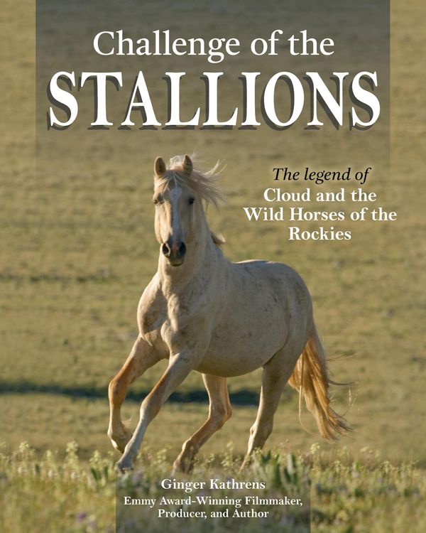 Produktbild: Challenge of the Stallions
