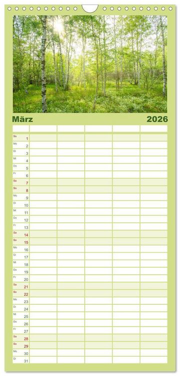 Produktbild: Familienplaner 2026 - Magischer Harzwald mit 5 Spalten (Wandkalender, 21 x 45 cm) CALVENDO
