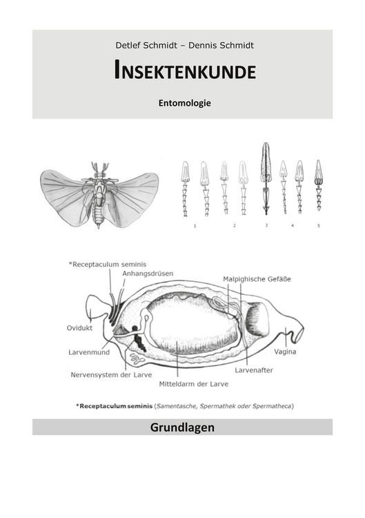 Produktbild: Insektenkunde