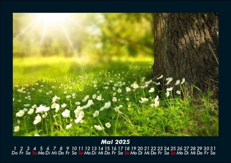 Produktbild: Blumenzauber 2025 Fotokalender DIN A5