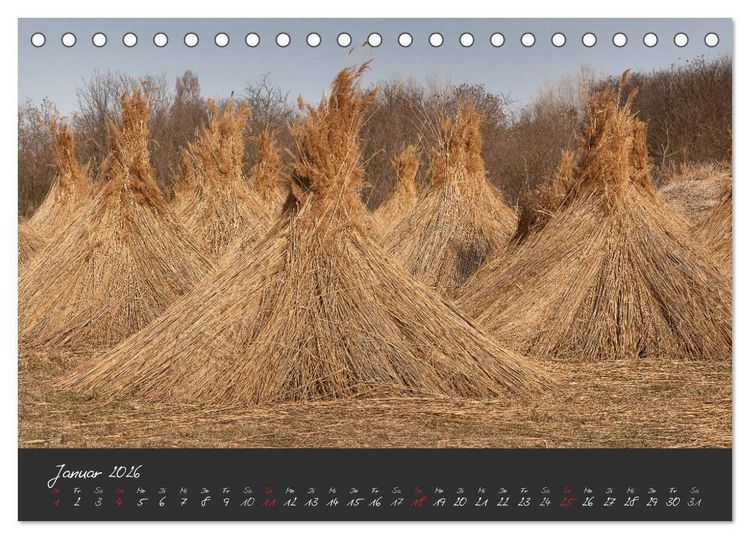 Produktbild: Natur erleben Seewinkel-Neusiedlersee (Tischkalender 2026 DIN A5 quer), CALVENDO Monatskalender