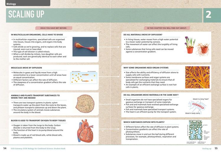 Produktbild: Collins GCSE Science - OCR Gateway GCSE (9-1) Biology for Combined Science