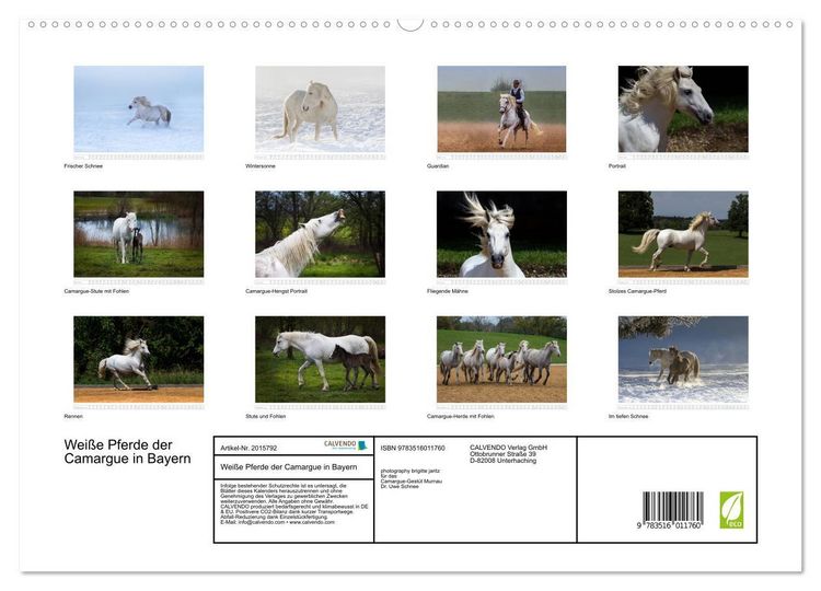 Produktbild: Wei&szlig;e Pferde der Camargue in Bayern (hochwertiger Premium Wandkalender 2026 DIN A2 quer), Kunstdruck in Hochglanz
