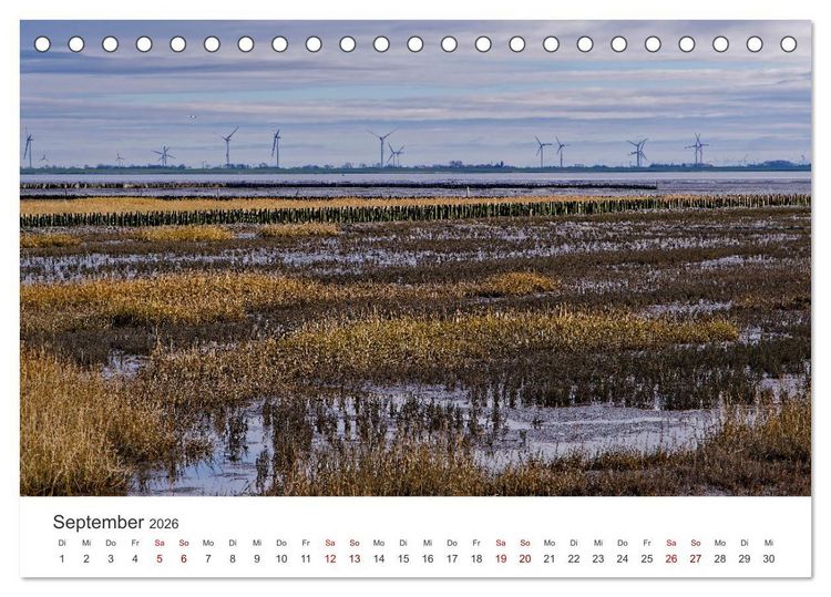 Produktbild: Schutzgebiet Wattenmeer (Tischkalender 2026 DIN A5 quer), CALVENDO Monatskalender