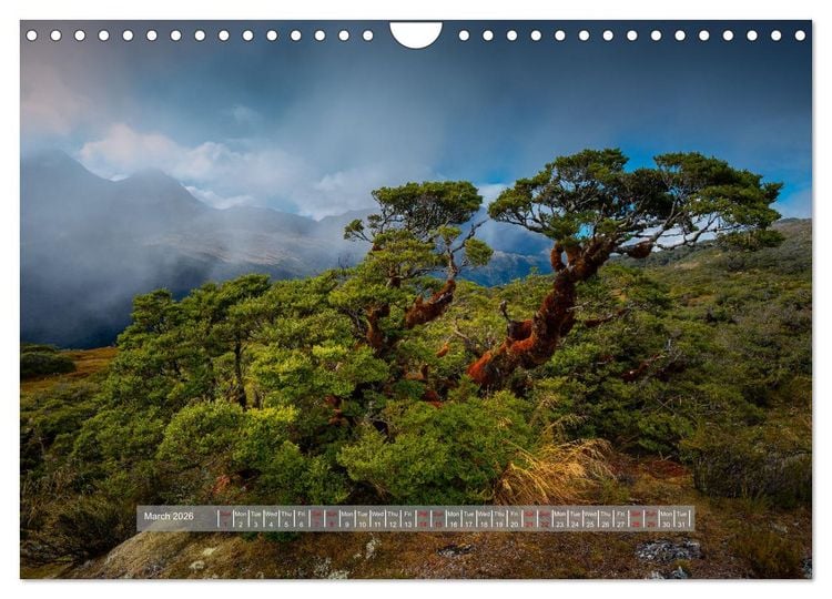 Produktbild: Picturesque Mountain Worlds (Wall Calendar 2026 DIN A4 landscape), CALVENDO 12 Month Wall Calendar