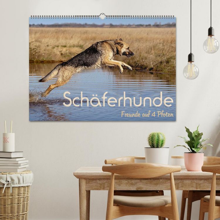 Produktbild: Sch&auml;ferhunde - Freunde auf 4 Pfoten (Wandkalender 2026 DIN A2 quer), CALVENDO Monatskalender