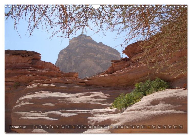 Produktbild: Impressionen Kameltrekking Sinai 2026 (Wandkalender 2026 DIN A3 quer), CALVENDO Monatskalender