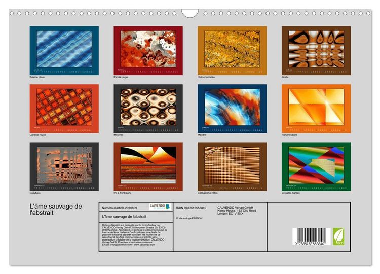 Produktbild: L'&acirc;me sauvage de l'abstrait (Calendrier mural 2026 DIN A3 vertical), CALVENDO calendrier mensuel