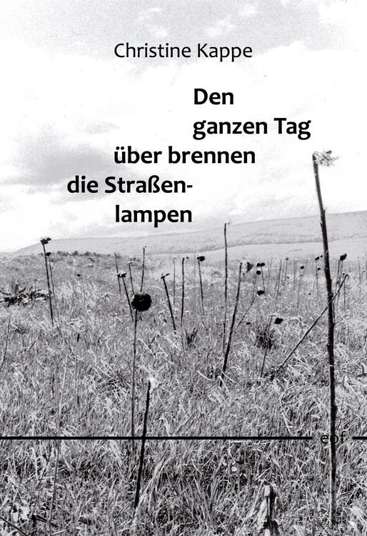 Produktbild: Den ganzen Tag &uuml;ber brennen die Stra&szlig;enlampen