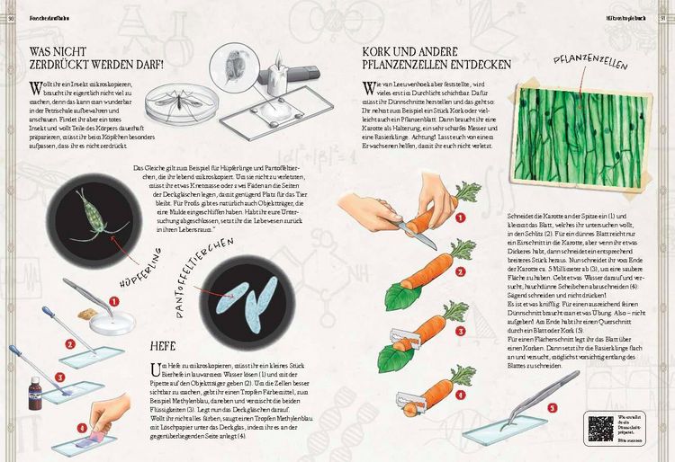 Produktbild: Verborgene Welt des Mikrokosmos
