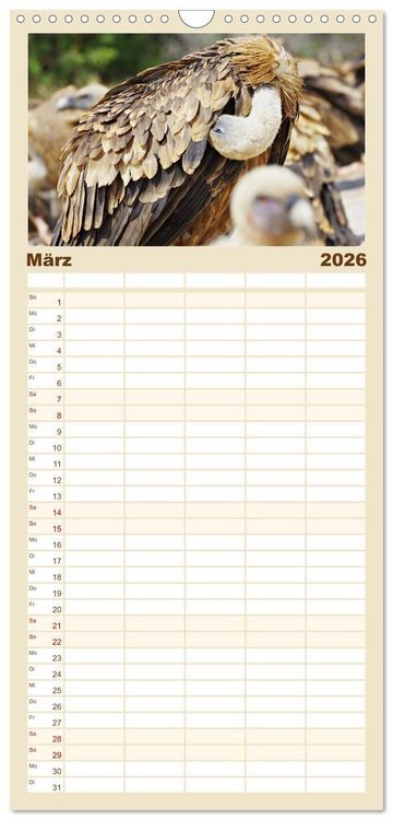 Produktbild: Familienplaner 2026 - Geier - die Gesundheitspolizei! mit 5 Spalten (Wandkalender, 21 x 45 cm) CALVENDO