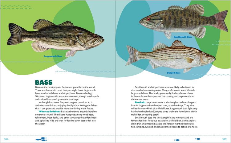 Produktbild: Let's Learn to Fish!