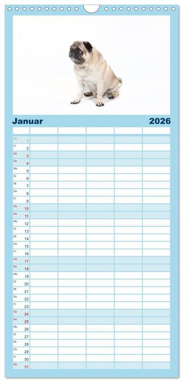Produktbild: Familienplaner 2026 - Mops - unwiderstehlich und charmant mit 5 Spalten (Wandkalender, 21 x 45 cm) CALVENDO