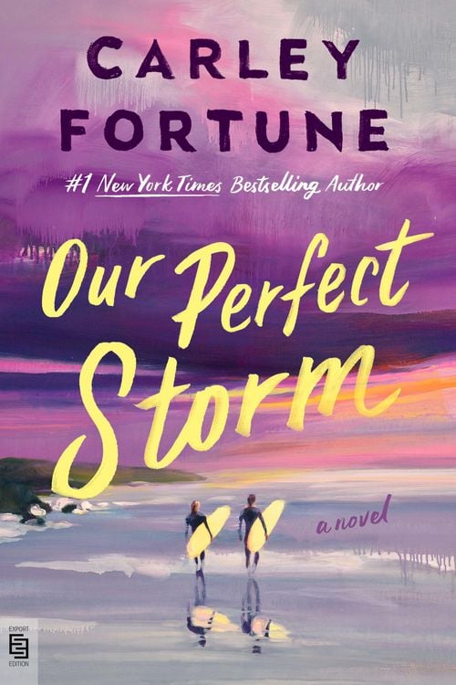 Produktbild: Our Perfect Storm
