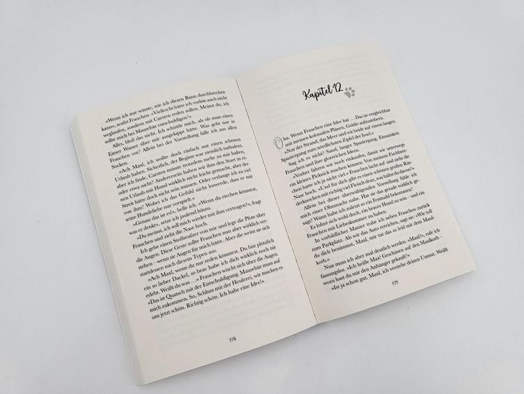 Produktbild: Pfotengl&uuml;ck &ndash; Dackel Max sucht seine gro&szlig;e Liebe