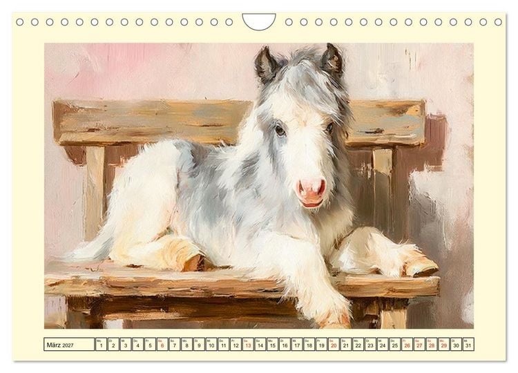 Produktbild: Zauberhafte Ponys. Kleine Pferdchen in lieblicher &Ouml;loptik (Wandkalender 2027 DIN A4 quer), CALVENDO Monatskalender