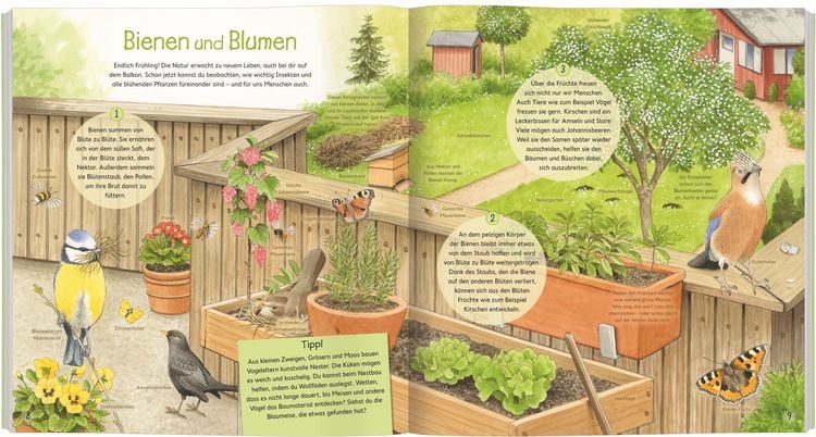 Produktbild: Miteinander in der Natur - Wie Tiere und Pflanzen gemeinsam leben