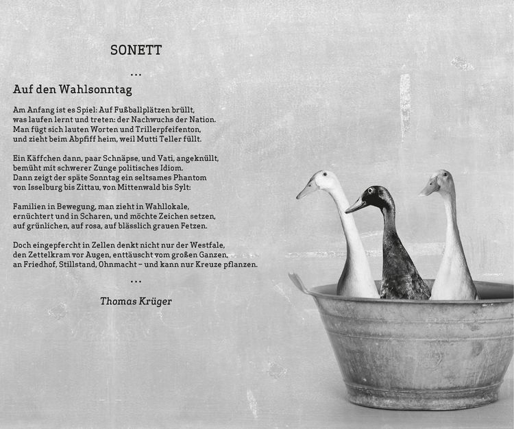 Produktbild: Erwin, Enten, Pr&auml;sidenten