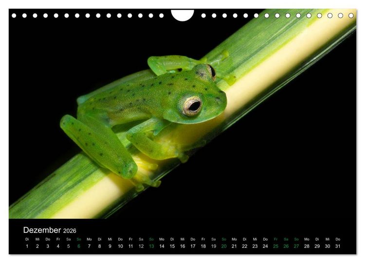 Produktbild: Costa Rica - Faszination Fr&ouml;sche (Wandkalender 2026 DIN A4 quer), CALVENDO Monatskalender