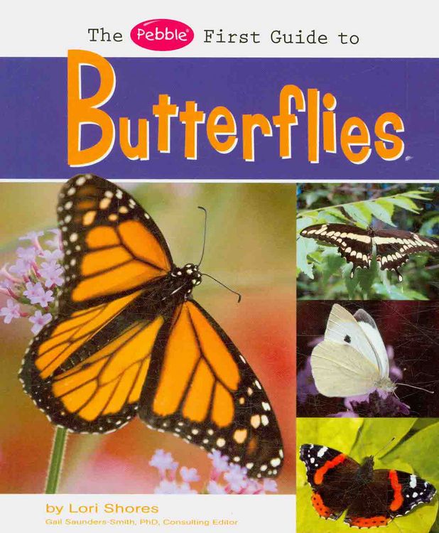 Produktbild: The Pebble First Guide to Butterflies
