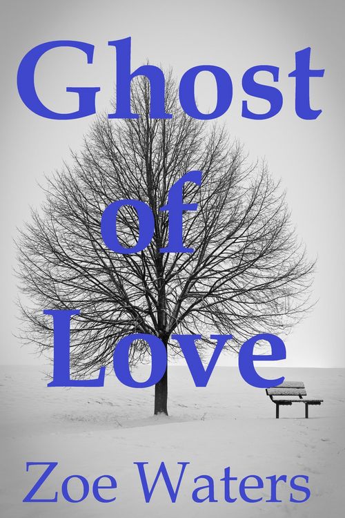 Produktbild: Ghost of Love: Life After Death Erotica