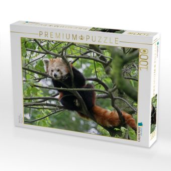 Produktbild: CALVENDO Puzzle Kleiner Panda | 1000 Teile Lege-Gr&ouml;&szlig;e 64x48cm Foto-Puzzle f&uuml;r gl&uuml;ckliche Stunden