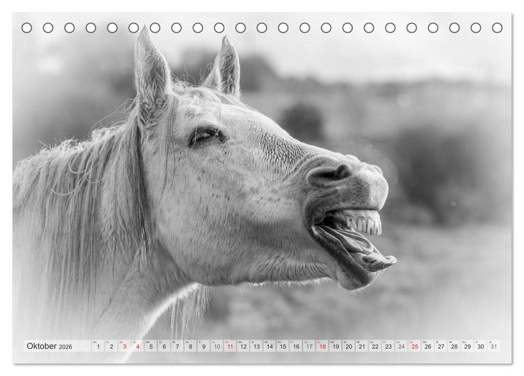 Produktbild: Emotionale Momente: Wei&szlig;e Pferde in schwarzwei&szlig;. (Tischkalender 2026 DIN A5 quer), CALVENDO Monatskalender