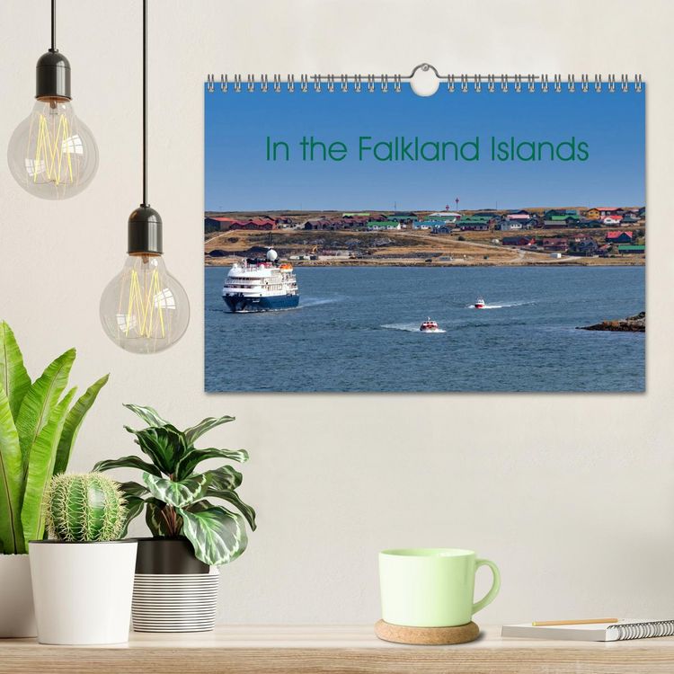 Produktbild: In the Falkland Islands (Wall Calendar 2026 DIN A4 landscape), CALVENDO 12 Month Wall Calendar