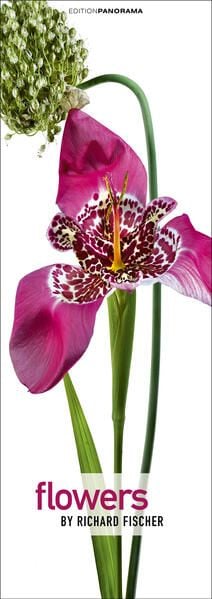 Produktbild: Flowers