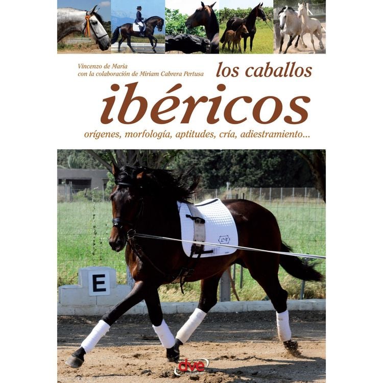 Produktbild: Los caballos ib&eacute;ricos