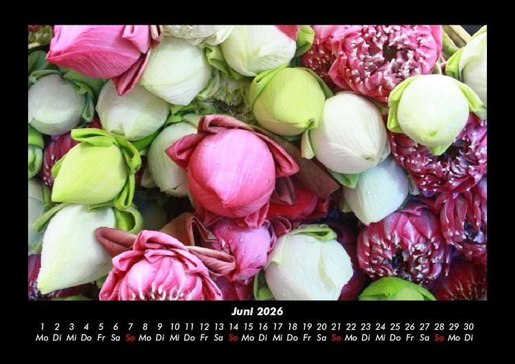 Produktbild: Blumenkalender 2026 Fotokalender DIN A3