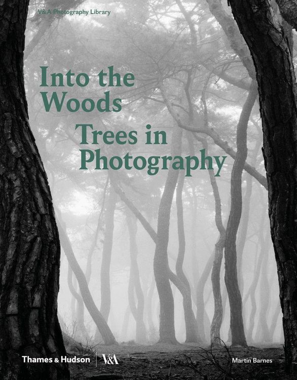 Produktbild: Into the Woods