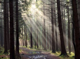 Produktbild: CALVENDO Puzzle Nach dem Regen, Erzgebirge | 2000 Teile Lege-Gr&ouml;&szlig;e 90x67cm Foto-Puzzle f&uuml;r gl&uuml;ckliche Stunden