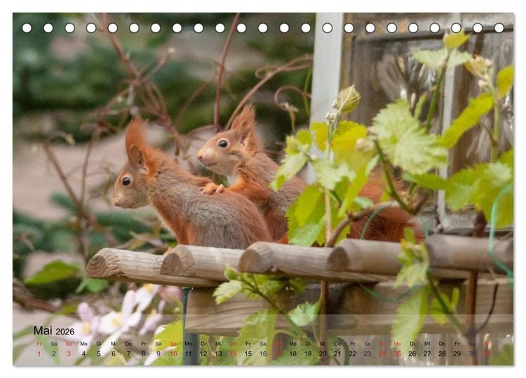 Produktbild: Spa&szlig; mit Eichh&ouml;rnchen-Kindern (Tischkalender 2026 DIN A5 quer), CALVENDO Monatskalender
